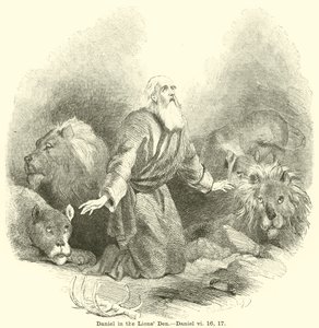 Daniel i Løvehulen, Daniel, vi, 16, 17 av English School