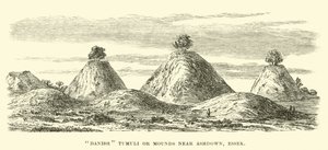 Danske Tumuli eller Mounds nær Ashdown, Essex av English School
