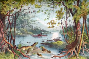 David Livingstones skip The Ma-Robert på Zambezi-elven, Afrika, under hans Zambezi-ekspedisjon på 1800-tallet. Fra The Life and Explorations of Dr. Livingstone publisert ca. 1875. av English School