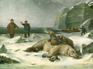 Død isbjørn og unger av English School