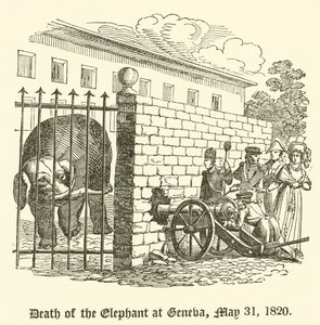 Elefantens død i Genève, 31. mai 1820 av English School