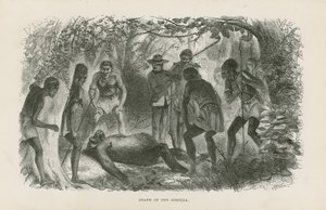 Gorillaens død