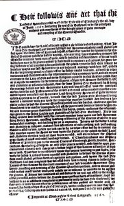 Erklæring fra Lords som indikerer jarlen av Bothwell som morderen til Lord Darnley, 1567 (penn og blekk på papir) av English School