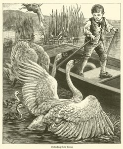 Defending their Young (gravering) av English School