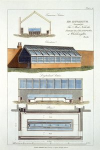 Design for An Aquarium, utført for The Marquis of Blandford at Whiteknights, 1806 av English School