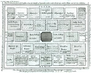 Design for en komplett kjøkkenhage, fra New Principles of Gardening, av Betty Langley, 1726 av English School