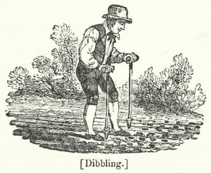 Dibbling av English School