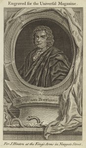 Dr Herman Boerhaave av English School