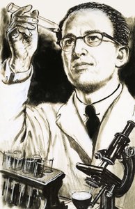 Dr Jonas Salk, skaperen av poliovaksinen, ser på et reagensrør av English School