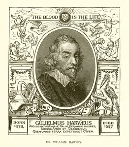 Dr. William Harvey av English School