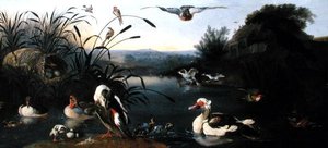 Ducks on a Pond (olje på lerret) av English School
