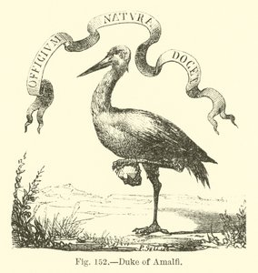 hertug av Amalfi av English School