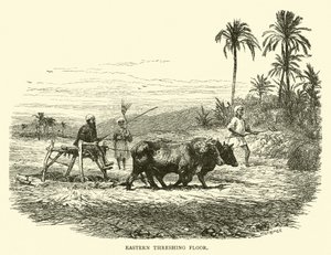 Østre treskeplass av English School