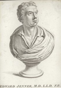 Edward Jenner av English School