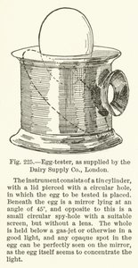 Egg-tester, levert av Dairy Supply Company, London av English School