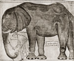 Elefant sendt av St. Louis til Henrik III, fra #39;Historia Major#39;, gjengitt i #39;English Historians#39; av English School