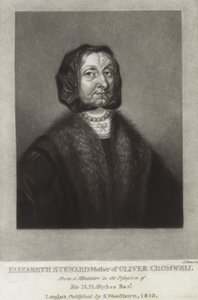 Elizabeth Steward av English School