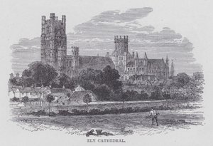 Ely-katedralen (gravering) av English School