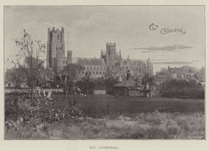 Ely katedral (litho) av English School