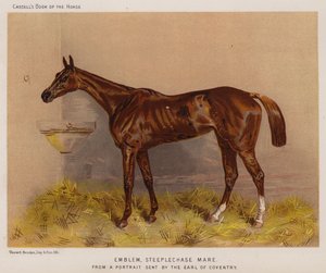 Emblem, hinderløphoppe (farge litho) av English School