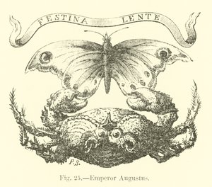 Keiser Augustus av English School