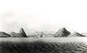 Inngangen til havnen i Rio de Janeiro (bw print) av English School