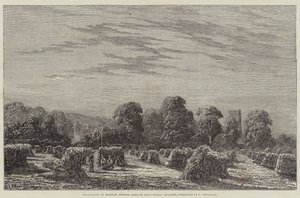 Utstilling av moderne britisk kunst, et maisfelt, kveld (gravering) av English School