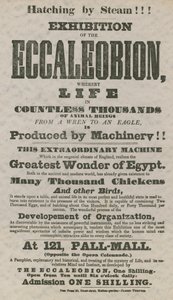 Utstilling av Eccaleobion av English School