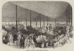 Utstilling av Royal Botanic Society, Regent's Park (gravering) av English School