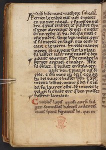 Utdrag fra Henry av Huntingdons Historia Anglorum, Cotton MS Titus D XXIV, f.132v (vellum) av English School