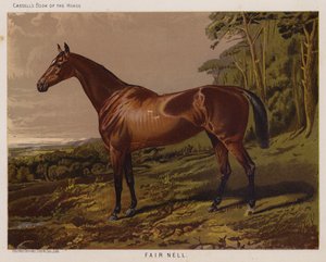 Fair Nell (farge litho) av English School