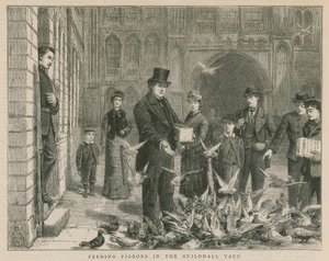 Mating av duer i Guildhall-gården av English School