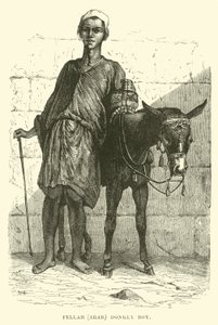 Fellah, arabisk; eselgutt av English School