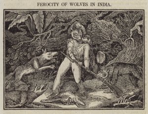Ulvenes voldsomhet i India (gravering) av English School