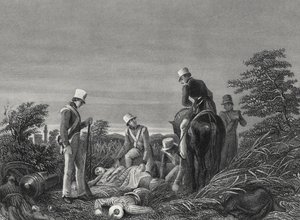 Finne fargene til 24. regiment