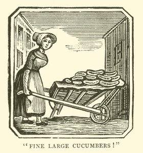 Fine store agurker (tresnitt) av English School