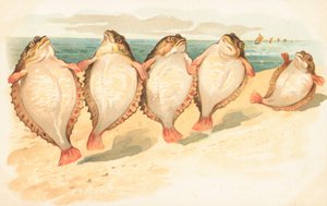 Fem flatfisk som danser på en strand av English School