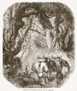 Flight of Europeans from the Mutineers, illustrasjon fra Cassells Illustrated History of England av English School