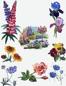 Blomster av English School