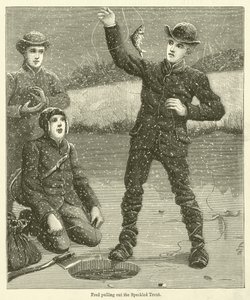 Fred trekker ut den flekkete ørreten (gravering) av English School