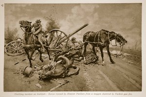 Gallipoli: Pferde gerettet von Munster Fusiliers aus einem von türkischem Geschützfeuer zerschmetterten Wagen, 1914-19 von English School