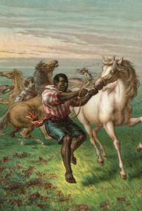Garibaldis Troopers bryter Wild Horses av English School