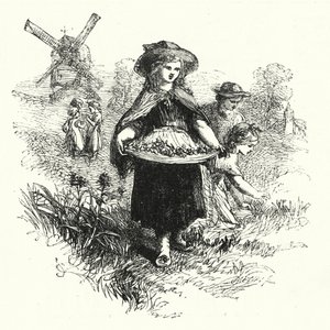 Samle kuslipp (gravering) av English School