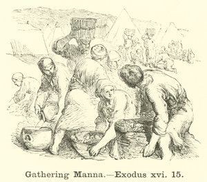 Samling av Manna, Exodus, xvi, 15 av English School