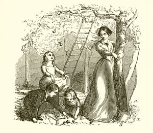 Samler epler av English School