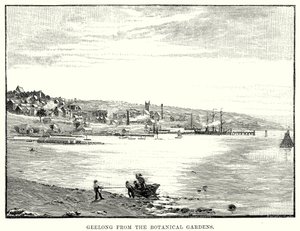 Geelong fra den botaniske hagen (gravering) av English School
