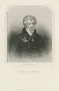 Georges Cuvier , fransk naturforsker og zoolog (gravering) av English School