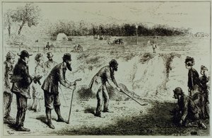 Golf av English School