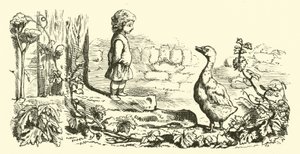 Goosey, gåsey gander av English School