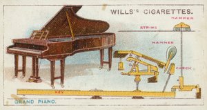 Flygel (chromolitho) av English School